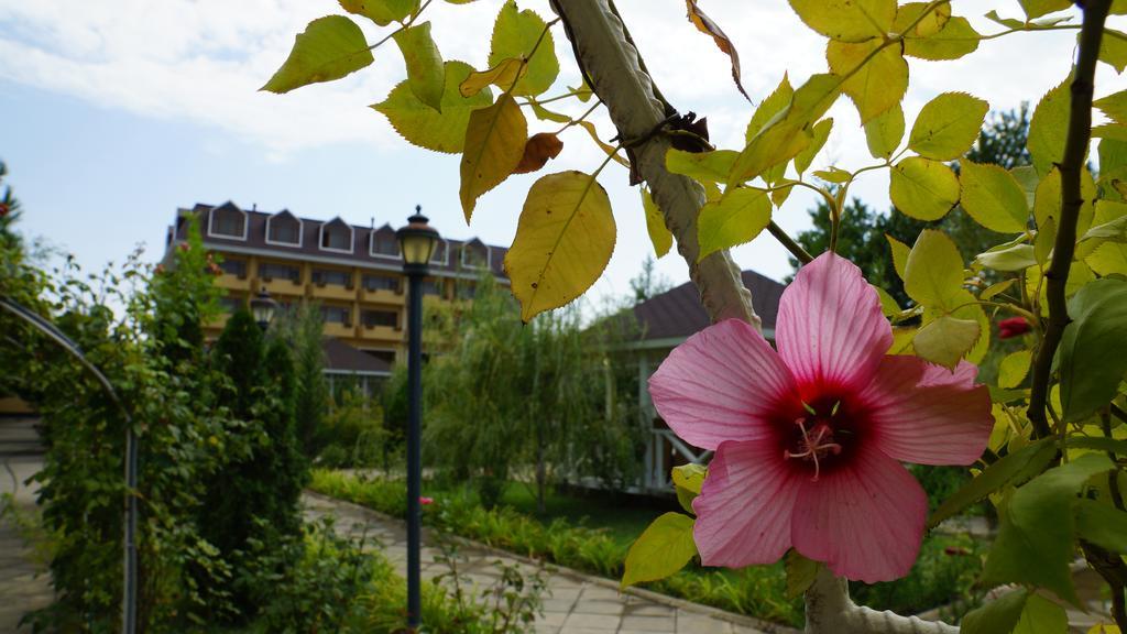 River Side Hotel Mingachevir Luaran gambar
